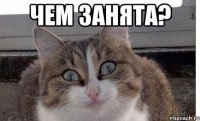 Чем занята? 