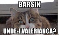 Barsik unde-i valerianca?