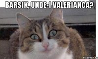 Barsik, unde-i valerianca? 