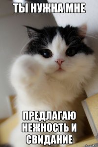 ты нужна мне предлагаю нежность и свидание