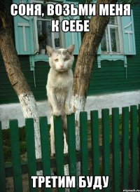 Соня, возьми меня к себе Третим буду