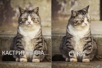 Кастрировала... Сука