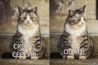 Скоро сессия опять