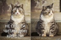 Не грусти читай Дон Кихота! 