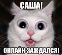 саша! онлайн заждался!