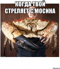 Когда твой стреляет с Мосина 