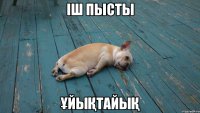 іш пысты ұйықтайық