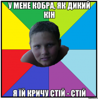 у мене кобра, як дикий кін я їй кричу стій - стій