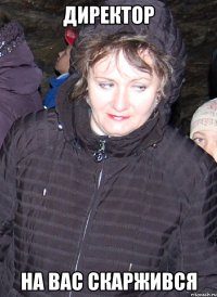 директор на вас скаржився