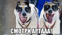  Смотри артааа!