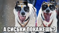  а сиськи покажешь?