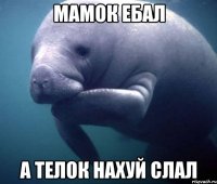 Мамок ебал а телок нахуй слал