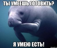 Ты умеешь готовить? Я умею есть!