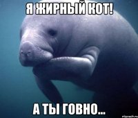 Я жирный кот! а ты говно...