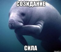 созидание сила