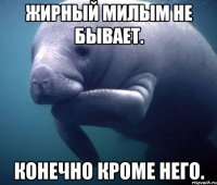 Жирный милым не бывает. Конечно кроме него.