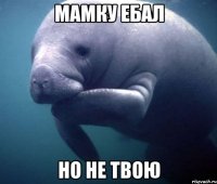 Мамку ебал но не твою