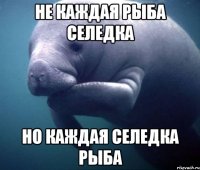 Не каждая рыба селедка Но каждая селедка рыба