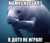 Мамку не ебал? В Доту не играл!