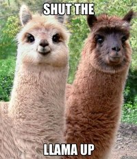 SHUT THE LLAMA UP