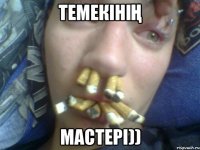 Темекінің Мастері))