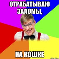 отрабатываю заломы, на кошке