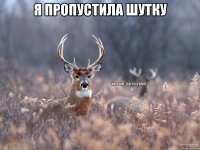 я пропустила шутку 