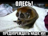 Олесь! предупреждать надо, ну!