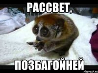 Рассвет, позбагойней