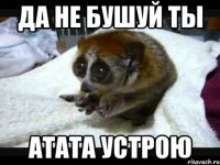 да не бушуй ты атата устрою