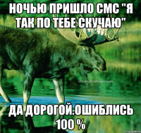 Ночью пришло смс "я так по тебе скучаю" Да дорогой.Ошиблись 100 %