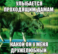 Улыбается проходящим дамам, какой он у меня дружелюбный.