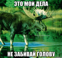 Это мои дела Не забивай голову