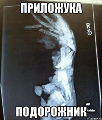 Приложука Подорожник