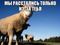 мы расстались только из-за тебя 