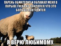 парень обматерил и облажал меня в порыве гнева,но поклялся,что это больше повторится я верю любимому.
