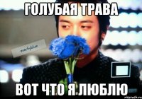 Голубая трава Вот что я люблю