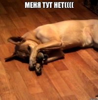 МЕНЯ ТУТ НЕТ(((( 