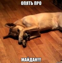 ОПЯТЬ ПРО МАЙДАН!!!