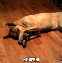  не верю