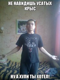 Не навидишь усатых крыс Ну а хули ты хотел!