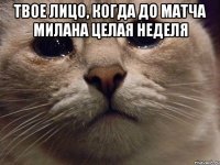 Твое лицо, когда до матча Милана целая неделя 