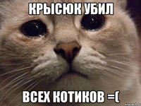 Крысюк убил всех котиков =(