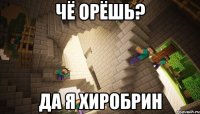 Чё орёшь? Да я хиробрин