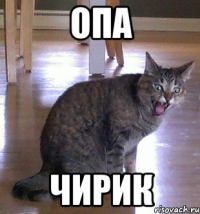 опа чирик