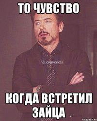 то чувство когда встретил зайца