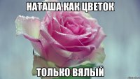 Наташа как цветок только вялый