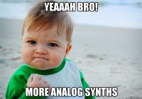 Yeaaah bro! More analog synths