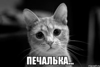  Печалька...