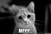  мррр...